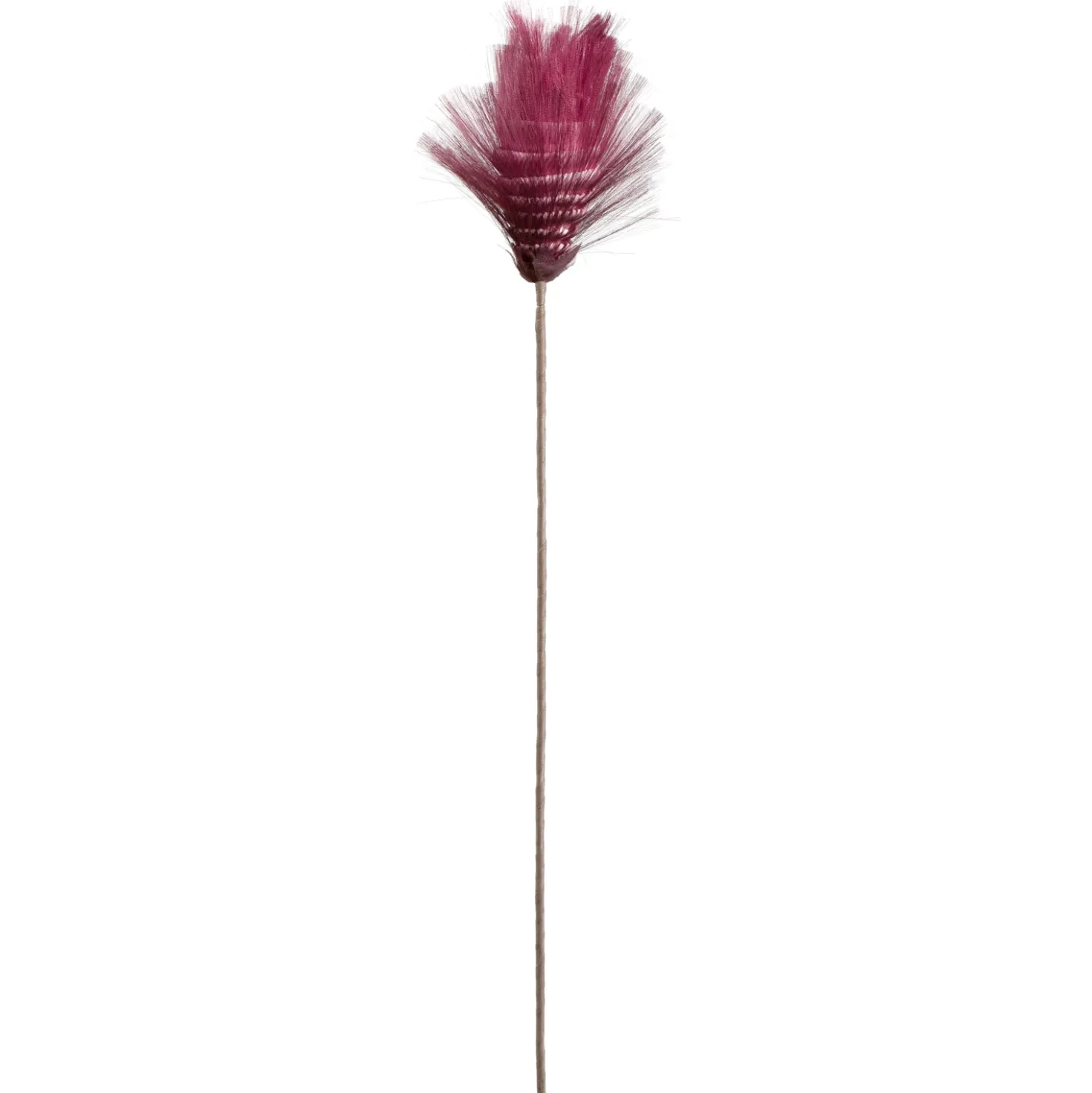 Blütenstamm BELLAGIO 88 cm beere 1 Blüte
