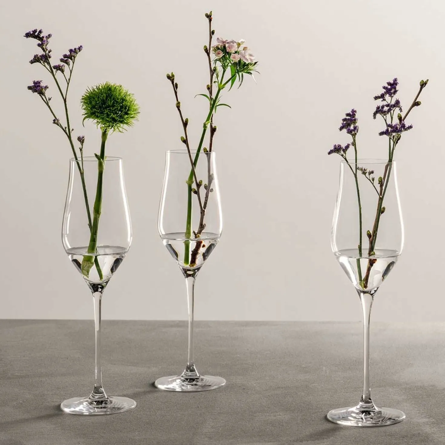 Champagnerglas BRUNELLI 340 ml 6er-Set