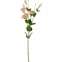 Lysianthus FIORE 78 cm apricot