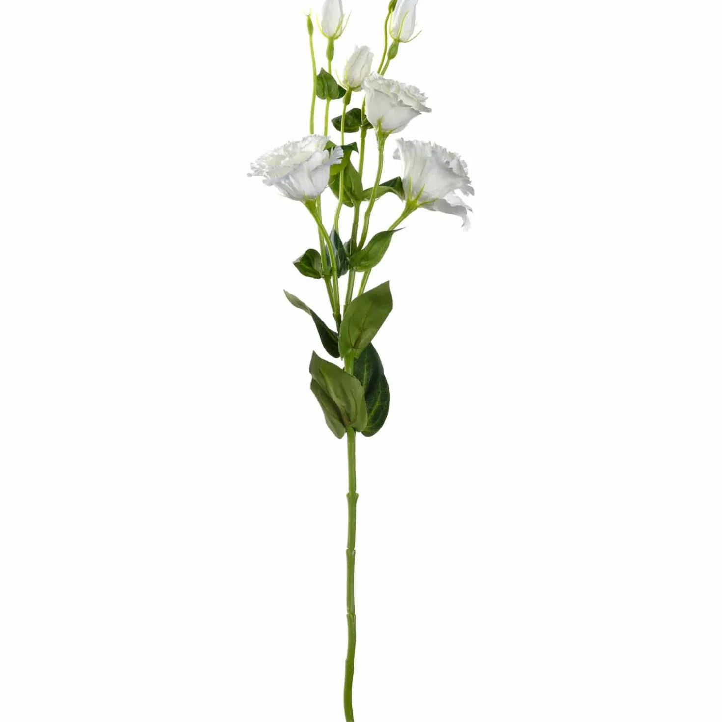 Lysianthus FIORE 78 cm weiß