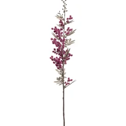Mimose PALAZZO 70 cm viola