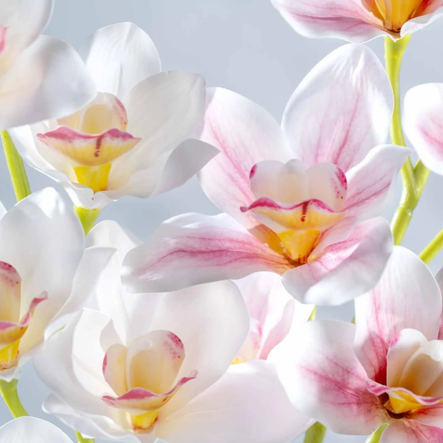 Orchidee FIORE 90 cm pink