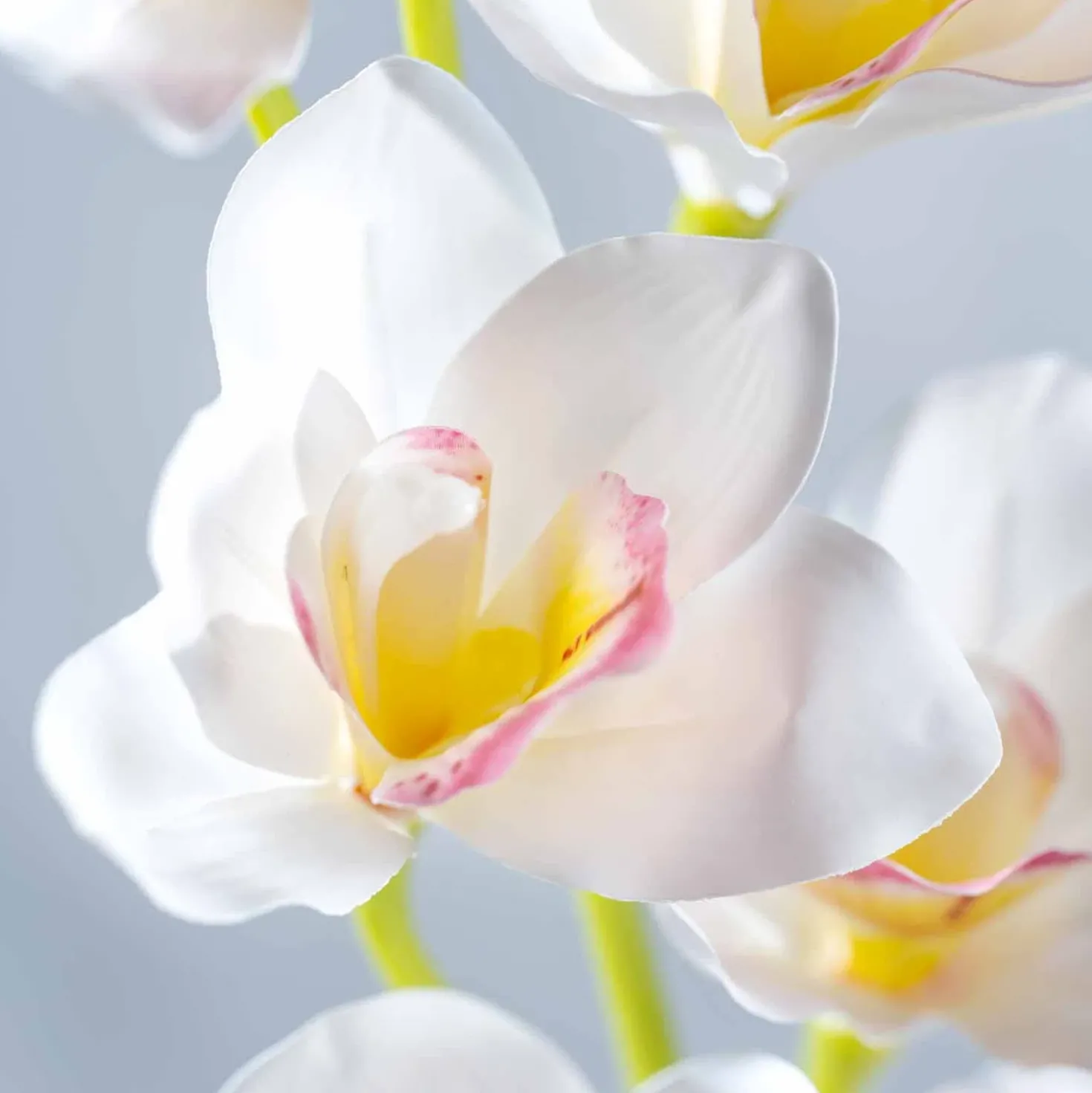Orchidee FIORE 90 cm weiß