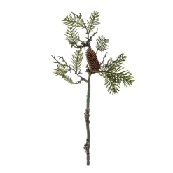 Pinienzweig 56cm AUTENTICO