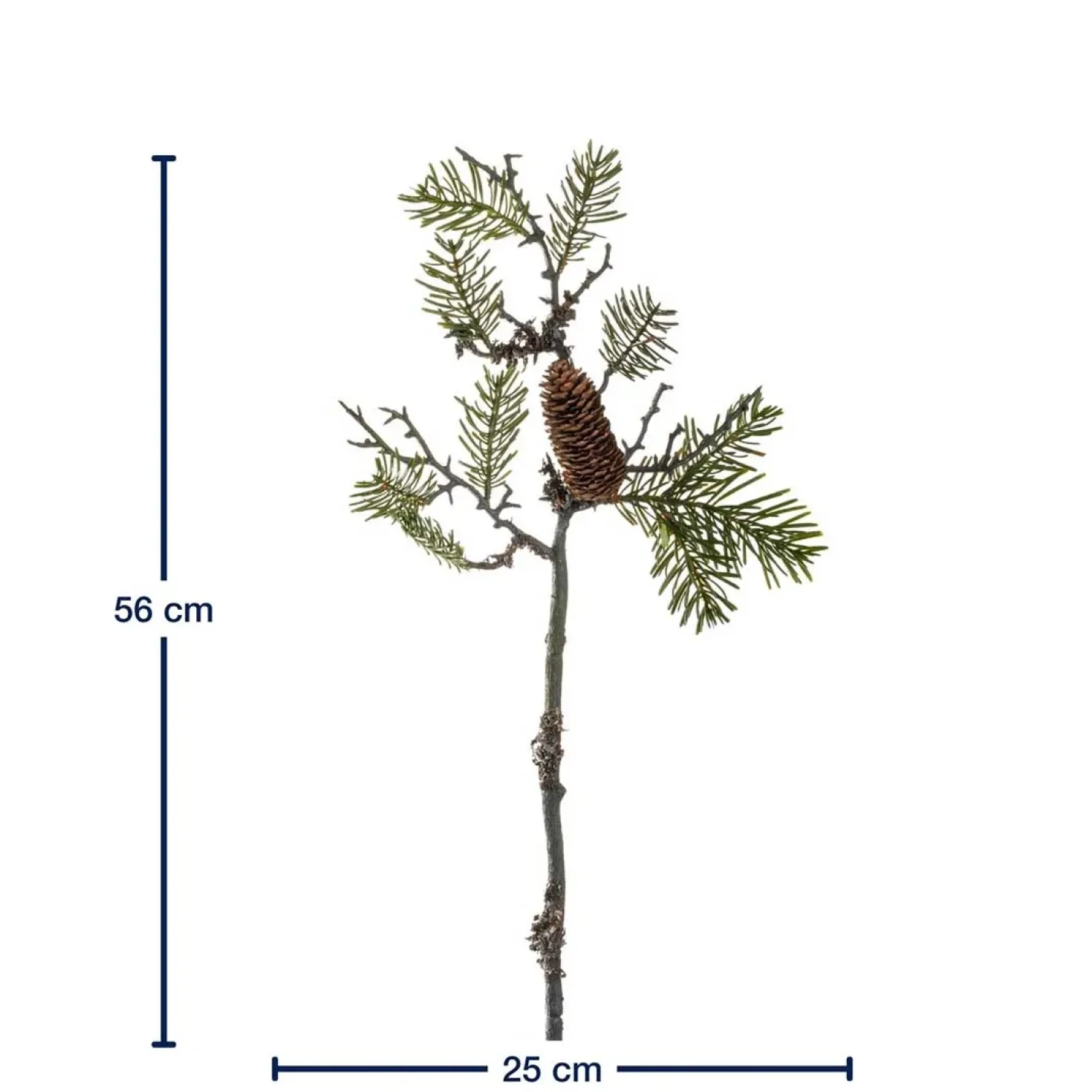 Pinienzweig 56cm AUTENTICO