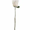 Prothea FIORE 72 cm weiß