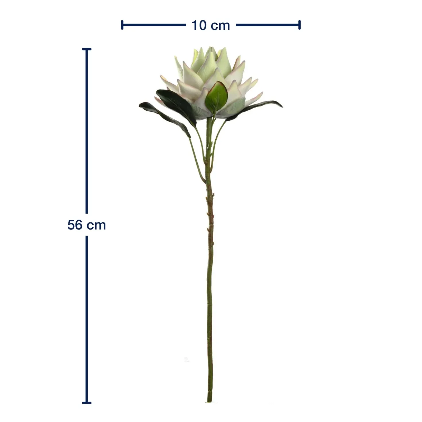 Prothea FIORE 56 cm weiß