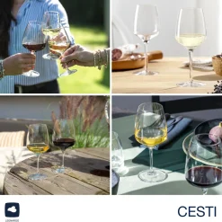 Rieslingglas CESTI 280 ml 6er-Set + Poliertuch