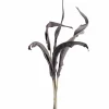 Strelizienblätter FIORE 80 cm taupe 5er-Set