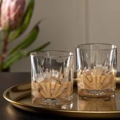Whiskybecher DOF CAPRI 330 ml 2er-Set mit 8 Kühlsteinen